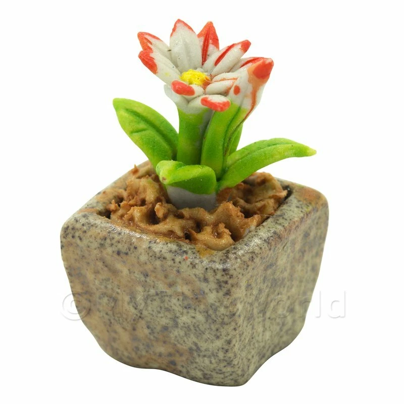 Miniatura Fatto a Mano Doppio Colorato Ceramica Fiori - Immagine 1 di 1