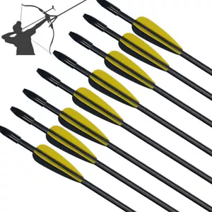 28" Fiberglass Arrows Archery Target Practice Arrows for Bow Kids Hunting Train - Picture 1 of 9