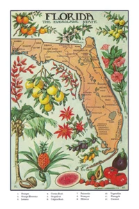 TRAVEL POSTERS 9009 - 1912 Illustrated Florida Map 11 x 17 - Picture 1 of 4