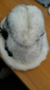 Vintage Damen Hut Nerzkappe Nerzmütze elegant mit Federboa zeitlos  - Bild 1 von 2