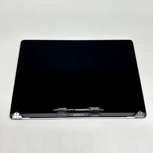 Genuine Apple MacBook Pro A2141 LCD Screen Assembly 16" 2019 Silver POV -Fair - Picture 1 of 6