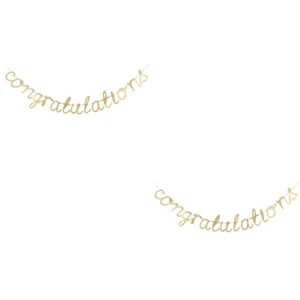 2 Sets Golden Pink Sequin Pull Flag Graduation Decorations Banners Party - Picture 1 of 12