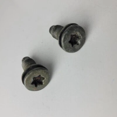 Juego de 2 pares de tornillos para puerta Nissan Titan 2004-2006 OEM Foto 1 de 3