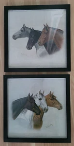 Paar ANTIKE Deutsche Reiter Pferde Drucke signiert Barth mit dem Titel "Pferdeköpfe" - Bild 1 von 15