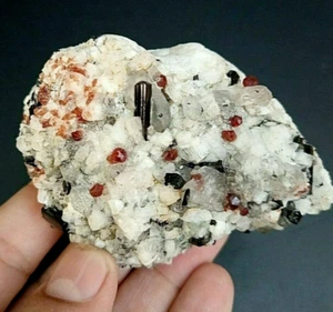 Combine Specimen of Garnet,Schorl,Quartz,Aqua and Feldspar From,Gilgit,Pakistan. - Picture 1 of 4