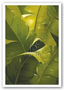 Impresión artística Amazon Canopy Verdi 24x36 - Imagen 1 de 1
