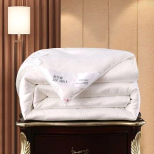 100% Mulberry Silk Quilt Comforters Duvet Silk Filled Queen King Quilt 1PCS - Bild 1 von 17
