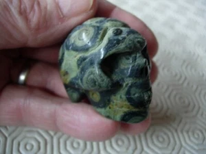 Crystal Skull fossil algae 1 U.K. seller since 2003 - Picture 1 of 9