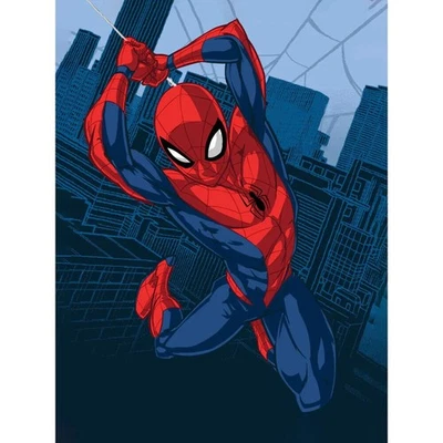 Одеяло Spider-Man Baby Raschel 40 x 50 дюймов от Marvel - Изображение 1 из 2