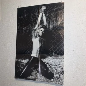 1980 DAVID LEE ROTH / VAN HALEN 24" X 36" Poster Insert Women and Children First - Picture 1 of 3