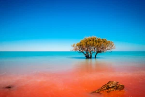 Lonely Tree Lake Sky High Quality WALL PRINT PREMIUM LARGE POSTER 91X61CM - Picture 1 of 2