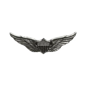 Aviator Wings Pin - Picture 1 of 1