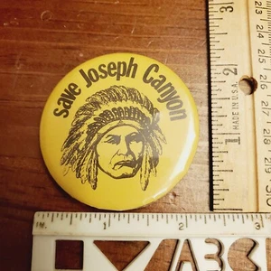 Nez Perce Tribe Chief Joseph - Save Joseph Canyon-Pinback Button-HTF/RARE - Picture 1 of 8