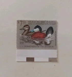 O31# RW48 Ruddy Duck Stamp - Picture 1 of 2