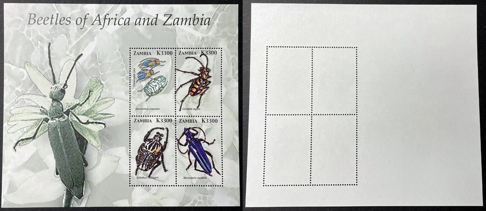 Zambia 2005 Beetles of Africa Goliath insects S/S Sc-1049 MNH OG #Br13 - Image 1 of 1