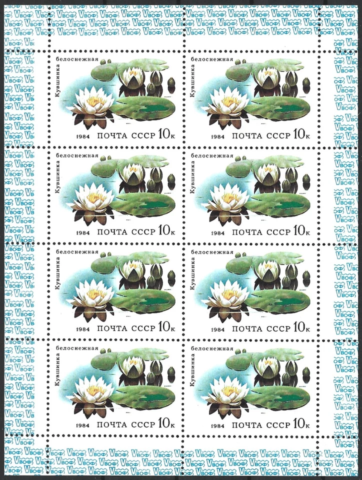 USSR (Russia) 1984. Flowers. White Nyphaea. M/S of 8. Sc# 5254, MNH  - Image 1 of 1