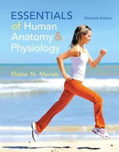 Essentials of Human Anatomy & Physiology (11. Aufl.) wie NEU Top Zustand - Bild 1 von 1