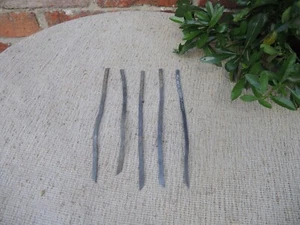 5 alte Vintage Blei Botanische Pflanzen Etiketten (737) - Bild 1 von 3