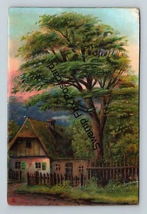 Postcard Raphael Tuck's 4108 House Wooden Fence Dirt Road Tree c1904 - Picture 1 of 2
