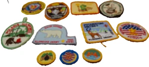 BSA Boy Scouts patch lot 11 Clark Horrorwood 75 years Polaris Sauk Woods Sussex - Picture 1 of 6