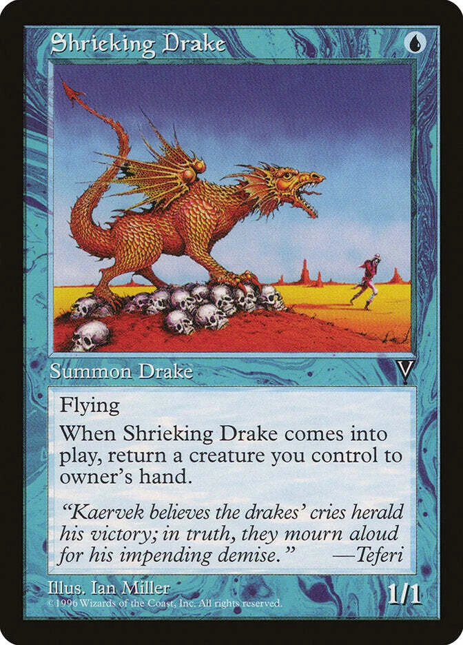 MTG - 4 x Shrieking Drake - Playset 4x x4 - Visions Regular - Image 1 of 1