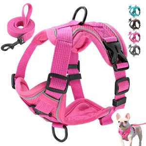 No Pull Air Dog Harness and Leash Set No-Choke Reflective Cat Puppy Control Vest - Picture 1 of 16