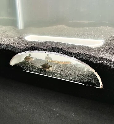 Bottom Dweller Underground Cave Hide Aquarium Aquascape Hideout Fish Tank Cave - Image 1 of 4