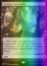 MTG Verdant Catacombs (8) Zendikar Rising Expeditions  NM FOIL
