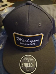 Michigan Wolverines Zephyr Z Hat Cap Grey Size Large NWT Hat - Picture 1 of 3