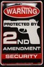Warning Protected By 2nd Amendment Security Metal Sign, (8 X 12 Inches) Embossed