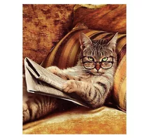 Cat With The Glasses Paint By Number Kit For Adult DIY Painting 40CMx50CM Canvas - Picture 1 of 7