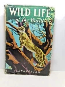 Wild Life of the World Dr Maurice Burton JH/C 1950 - Picture 1 of 5