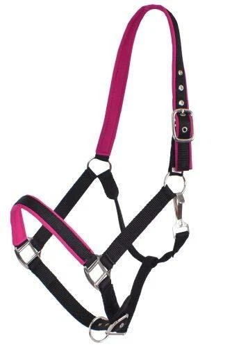 Halter Showman Tamaño Completo Caballo Nylon Color Neopreno Forrado Foto 1 de 1