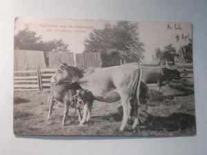 CPA 12 Vacherie sur la montagne - Imagen 1 de 2