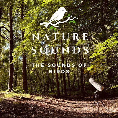 BIRD SOUNDS CD Vol 3 - NEW Nature Sounds CD Relaxation, Sleep FREE UK P&P - Image 1 of 2