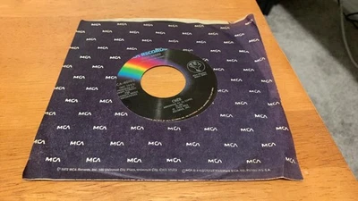 Half Breed - Cher (1973) 45 RPM Vinyl EX- Foto 1 de 3