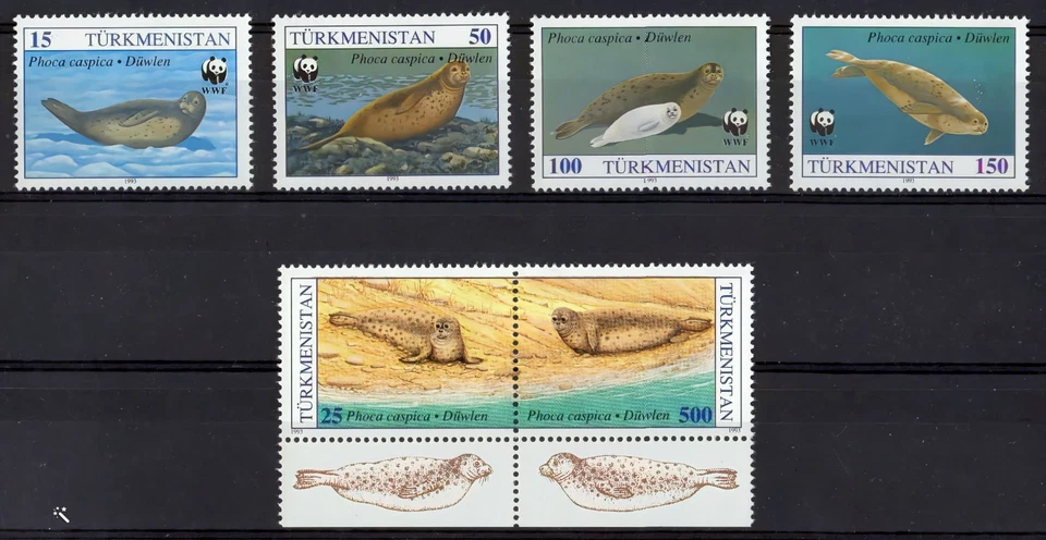 Turkmenistán 1993 Sc#34/38 WWF PHOCA CASPICA "MATTE GUM" Par+4 Estampillas MNH Foto 1 de 1