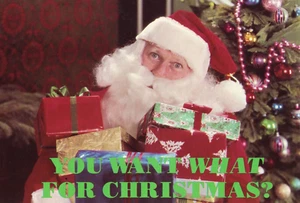 You want what for Christmas? Sorry you will have to settle for: 1981 - Picture 1 of 3