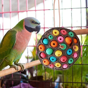 Natural Parrot Chew Toys Lotus Pod-shaped Parrot Biting Toys Parakeet Chew Toys - Picture 1 of 10
