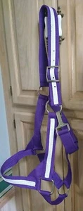 Halter DRAFT Tamaño Caballo Doble Capa Púrpura Plata Herrajes 1 1/2" de ancho - Imagen 1 de 2
