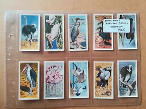 Brooke Bond Rhodesia-African Birds(1965)-Full set of 50 in sleeves-EXC - Picture 1 of 10