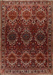 Semi-Antique Geometric Traditional Rug 11x12 Hand-knotted Wool Near Square