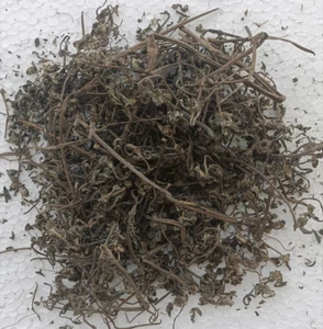 Pure Bhringraj [Eclipta alba] for Hair Re-Growth & Damage Control FREE SHIP100g* - Picture 1 of 2