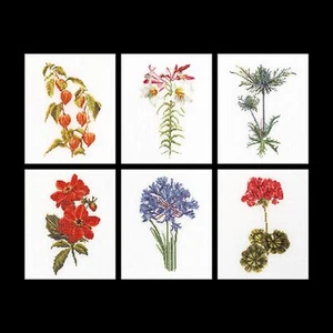 Cross-stitch kit Six Study Floral II 3082 thea gouverneur Linen - Picture 1 of 7