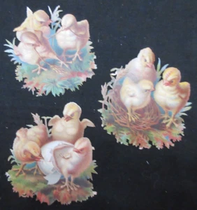 THREE 3 VICTORIAN SCRAPS - CHICKS HATCHING & PLAYING Unused Each 3" in Diameter - Picture 1 of 5