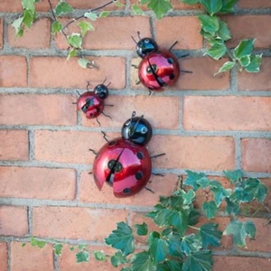 Arte de pared Ladybird - Haz una pared maravillosa y atractiva de tu hogar/jardín. - Imagen 1 de 1