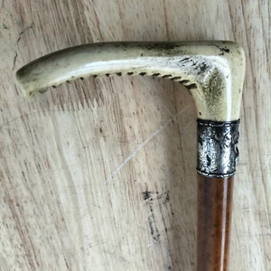Antique Fox Hunting Riding Crop Antler Handle Malacca Shaft Silver Collar 30” - Picture 1 of 11