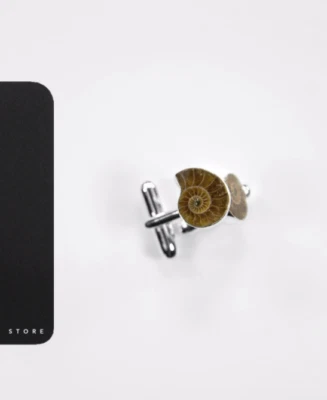 Gemelos de plata y amonita fósil para joyería de 8 mm Foto 1 de 4