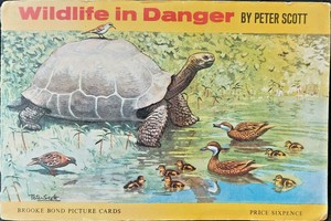 Brooke Bond Wildlife in Danger (1963) full set 50 original album - corner/glued