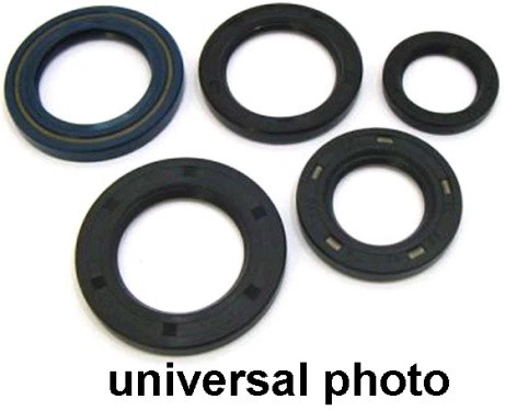 Kit de sellado de aceite de motor Winderosa HONDA XR 80 XR80 1979-2003 822162 182-2162 822162 Foto 1 de 4